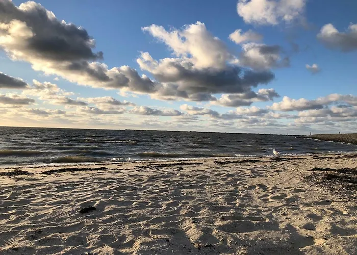 公寓 Haus Daniel Nur 400m Zum *